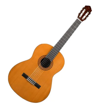 Guitarras Acústicas